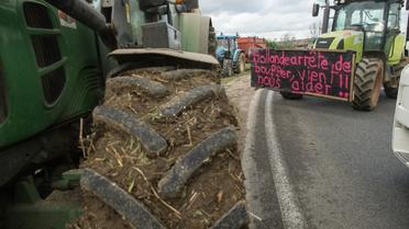 Des agriculteurs bloquent une route nationale à Vesoul pour protester contre la baisse des prix de vente de leurs produits, le 29 janvier 2016 [SEBASTIEN BOZON / AFP/Archives]