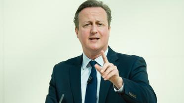 Le Premier ministre britannique David Cameron, le 9 mai 2016 à Londres [LEON NEAL / POOL/AFP]