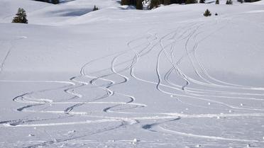 Dans les Alpes du Sud, une petite station de ski lutte pour éviter la fermeture