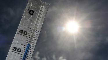 Près de Lille, le thermomètre affiche 37 degrés le 24 juin 2019 [PHILIPPE HUGUEN / AFP]