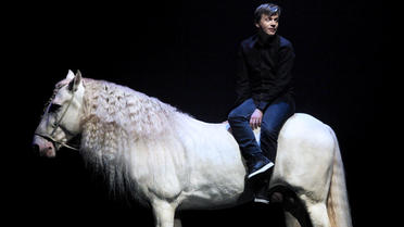 Alex Lutz invite sur scène un superbe cheval blanc, qui fera partie intégrante du spectacle. 