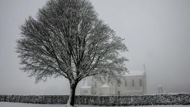 Un arbre sous la neige, le 23 janvier 2019, dans la nécropole nationale de Notre-Dame de Lorette, à Souchez (Pas-de-Calais) [DENIS CHARLET / AFP/Archives]