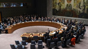 Le Conseil de sécurité de l'Onu réuni le 18 décembre 2015 à New York [TIMOTHY A. CLARY / AFP/Archives]