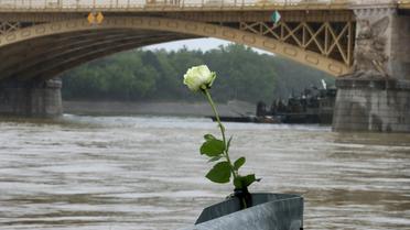 Une rose déposée au bord du Danube, à Budapest, le 30 mai 2019 [FERENC ISZA / AFP]