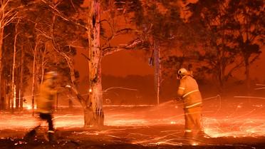Des pompiers arrosent des troncs d'arbres pour lutter contre le feu dans la ville de Nowra en Nouvelle-Galles du Sud, le 31 décembre 2019 [Saeed KHAN / AFP]