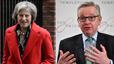 Theresa May et Michael Gove sont les deux favoris au poste de Premier ministre.