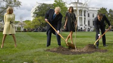 Le président des Etats-Unis Donald Trump et son homologue français Emmanuel Macron plantent un arbre, cadeau de la France, à la Maison Blanche le 23 avril 2018 [JIM WATSON / AFP/Archives]