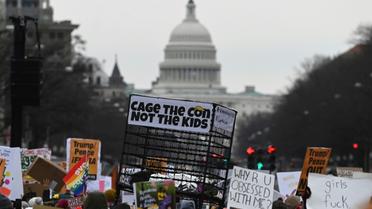 Des manifestants réunis pour la Marche des femmes à Washington le 18 janvier 2020 [ANDREW CABALLERO-REYNOLDS / AFP]