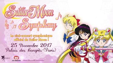 En France, Sailor Moon a été diffusé à la télévision dans le Club Dorothée de 1993 à 1997. 