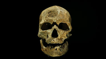 La nouvelle espèce d'hominidés aurait cohabité avec l'Homo Sapiens. 