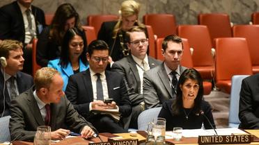 Le Conseil de sécurité des Nations Unies se réunit ce lundi 11 septembre à New York.