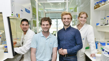 David Bikard et Xavier Duportet travaillent avec leur équipe au sein de l'Institut Pasteur.