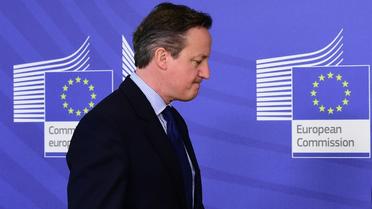 Le Premier ministre britannique David Cameron, à Bruxelles, le 29 janvier 2016 [EMMANUEL DUNAND / AFP]