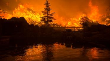 Incendie le 23 juillet 2016 à Santa Clarita en Californie [DAVID MCNEW / AFP/Archives]