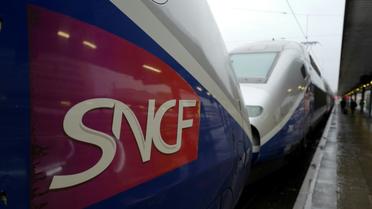 La grève a coûté 790 millions d'euros à la SNCF, selon un chiffrage interne [Ludovic MARIN / AFP/Archives]