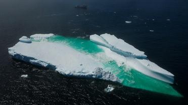 Un iceberg flotte près de Terre-Neuve, le 29 juin 2019. [Johannes EISELE / AFP/Archives]