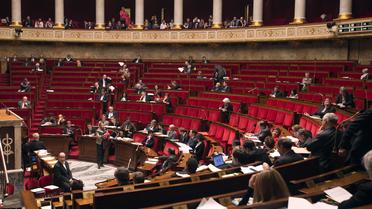 Les députés à l'Assemblée nationale à Paris [Joel Saget / AFP/Archives]