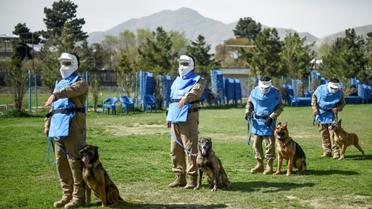 Des maîtres-chiens afghans dressent des chiens au déminage, le 7 avril 2019 au Centre de détections des mines (MDC) à Kaboul  [WAKIL KOHSAR / AFP]