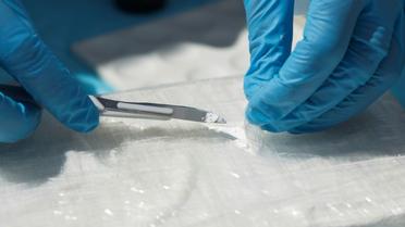 La "disponibilité" et la "pureté" de la cocaïne se sont accrues en Europe, où la production de drogues s'est intensifiée, selon le rapport annuel de l'Observatoire européen des drogues et des toxicomanies (OEDT) [Erika SANTELICES / afp/AFP/Archives]