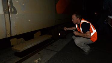 Photo d'archives d'un employé de la SNCF travaillant sur un TER, après un accident dans le sud-ouest de la France le 17 juillet 2014 [Mehdi Fedouach / AFP/Archives]
