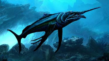 Une illustration de ce à quoi ressemblait le poisson géant, vieux de 100 millions d'années, dont le fossile a été retrouvé en Australie.