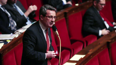 Jean-Christophe Fromantin à la tribune de l'Assemblée nationale en 2013.