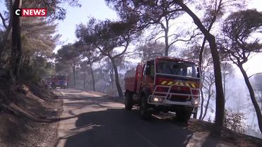 Un feu de forêt à Saint-Mandrier rapidement maîtrisé