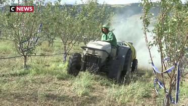 Rhône : les agriculteurs inquiets après la perte d'une partie de leurs récoltes