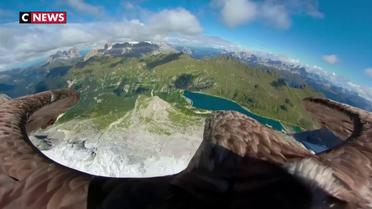 Un aigle et une caméra pour surveiller la fonte des glaciers alpins