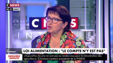 Christiane Lambert : «La France doit arrêter de vouloir être plus vertueuse que les autres»