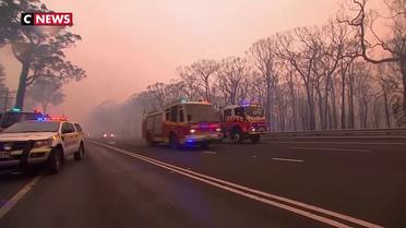 Des feux dévastateurs en Australie