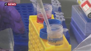 Coronavirus : un laboratoire lyonnais mobilisé pour trouver un traitement