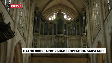 Grand orgue à Notre-Dame : l'opération sauvetage va démarrer
