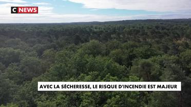 Incendies : la forêt de Fontainebleau sous surveillance des pompiers