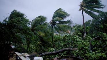 L'ouragan Maria a frappé mardi 19 septembre 2017 la Guadeloupe.