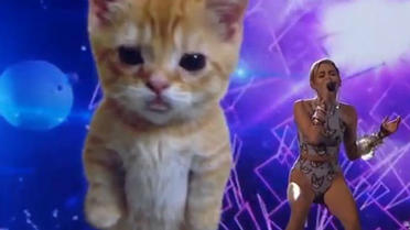 Miley Cyrus et son chat géant