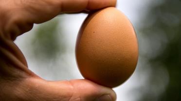 La photo d'œuf avait déjà été likée près de 42 millions de fois ce 15 janvier au soir. 