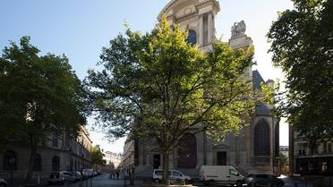 Exemple d'arbre remarquable présent sur l'espace public parisien : l'orme de Saint-Gervais trône derrière l'Hôtel de Ville.