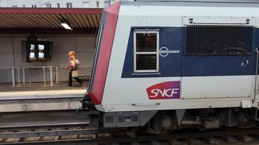 Le Stif et la SNCF veulent améliorer l'accompagnement des touristes à destination de Roissy sur le RER B.