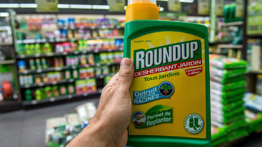 Le Roundup est l'un des herbicides les plus utilisés au monde. Et aussi l'un des plus controversés. 