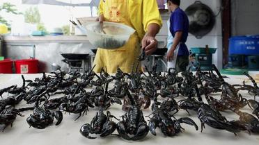 Un Chinois assure avoir mangé plus de 10 000 scorpions ces 30 dernières années et en serait même devenu dépendant.