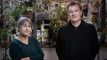 The Pritzker Prize, the highest distinction in the world of architecture, was awarded on Tuesday to Frenchmen Jean-Philippe Vassal and Anne Lacaton. 