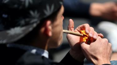 Le cannabis est la substance illicite la plus consommée en France