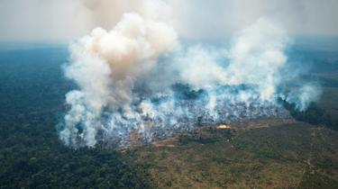 Incendie dans le parc national de Chiribiquete, dans le nord-ouest de l'Amazonie colombienne, le 4 février 2022 [Karen SALAMANCA / Ministère colombien de la Défense/AFP]