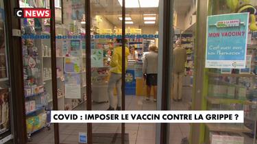 Bientôt des campagnes massives de vaccin contre la grippe ?