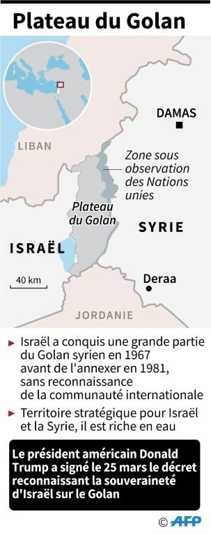 Plateau du Golan [AFP / AFP/Archives]