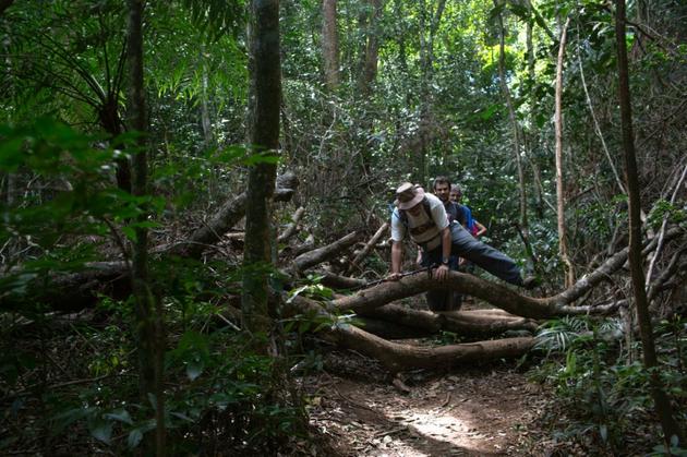 Des touristes sur un chemin de randonnée qui fera partie du futur sentier de 8.000 à travers le Brésil, le 21 juillet 2019 à Rio de Janeiro [Ian CHEIBUB / AFP]