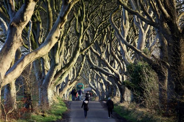 Une allée à Ballymoney en Irlande du Nord, site de tournage de "Game of Thrones", le 29 janvier 2016 [PAUL FAITH / AFP/Archives]