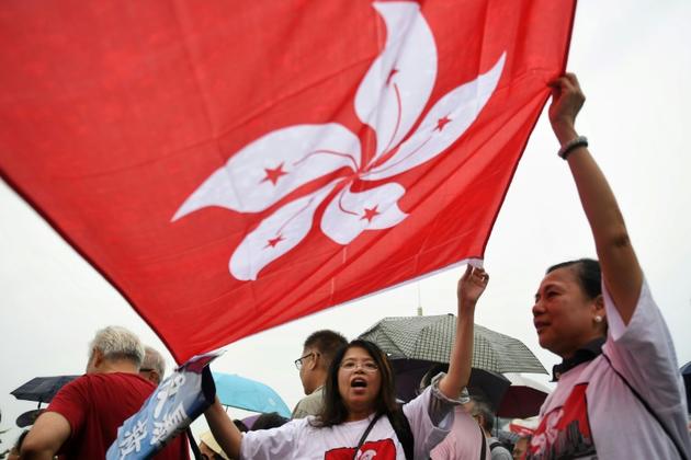 Des manifestants pro-gouvernement chinois agitent un drapeau de Hong Kong, à Hong Kong le 17 août 2019 [Lillian SUWANRUMPHA / AFP]