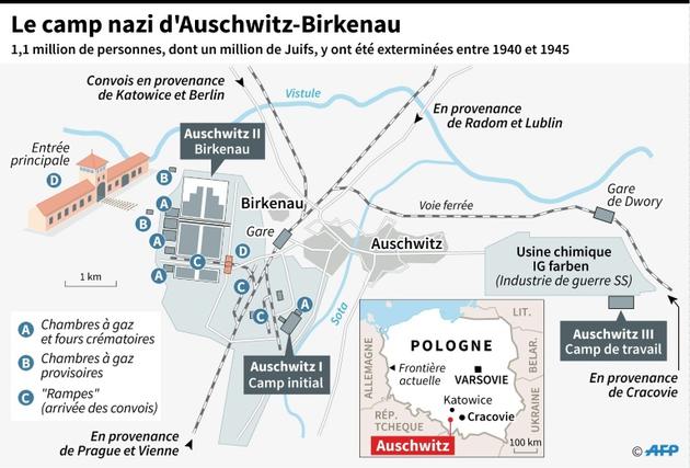 Le camp nazi d'Auschwitz-Birkenau [Sophie RAMIS / AFP]